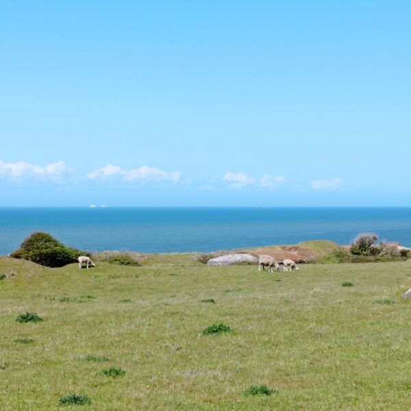 Tourisme au Cap Gris-Nez
