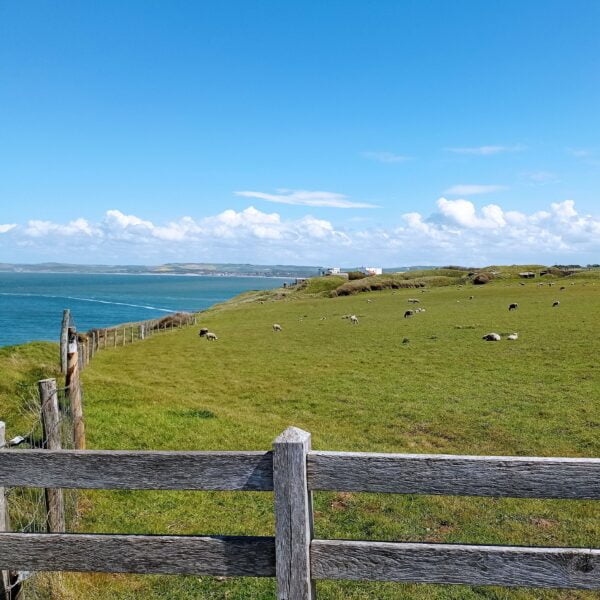 Escapade à Cap Gris-Nez