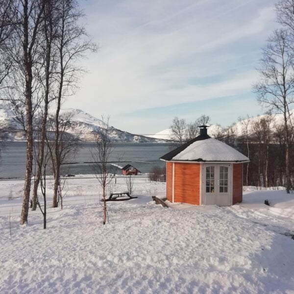 Visite des Alpes de Lyngen