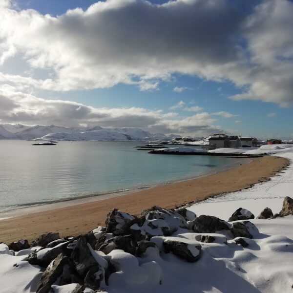 Promenade sur l'Île de Sommaroy