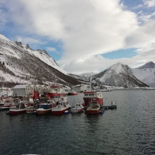 Visite du village de Husoy