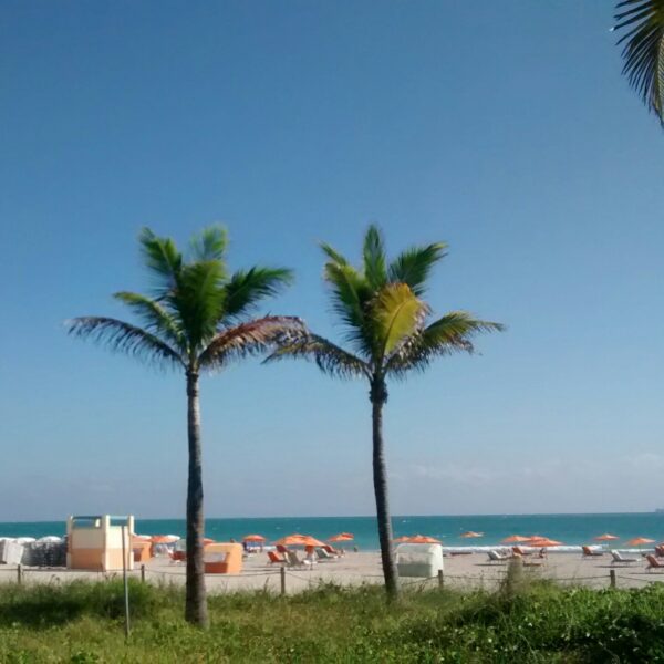 Détente à Miami Beach, Floride