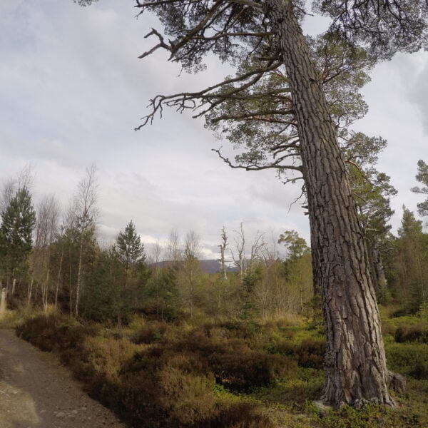 Sentier touristique dans les Highlands