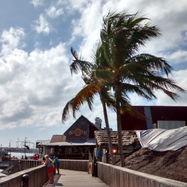 Saint John's Path, Floride