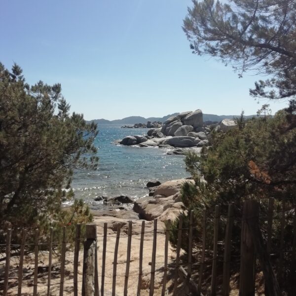 Voyage à la mer en Corse du sud