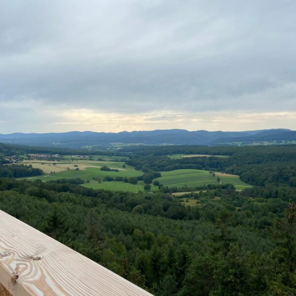 Paysage d'Alsace du Nord