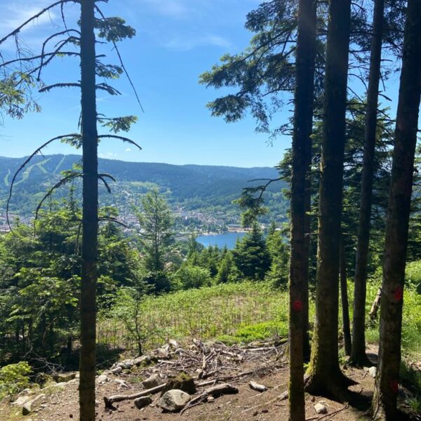 Randonnée autour du Lac de Gérardmer