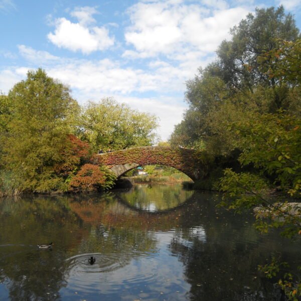 Central Parc, New York