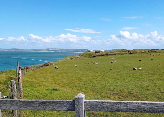 Cap Gris Nez