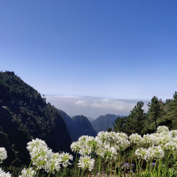 Vue à Eira do Serrado