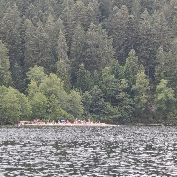Petite plage à Gerardmer